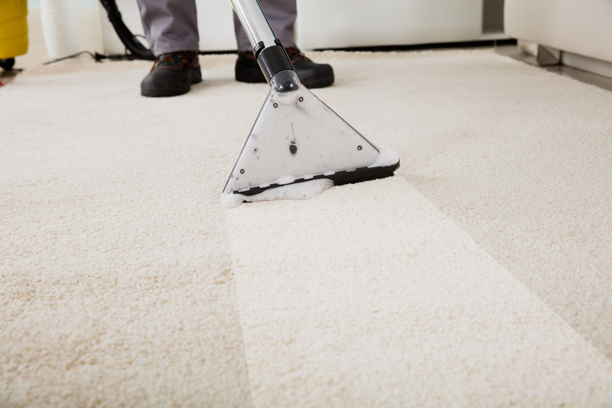 A person using a vacuum cleaner to clean a carpet, demonstrating effective home maintenance and cleanliness