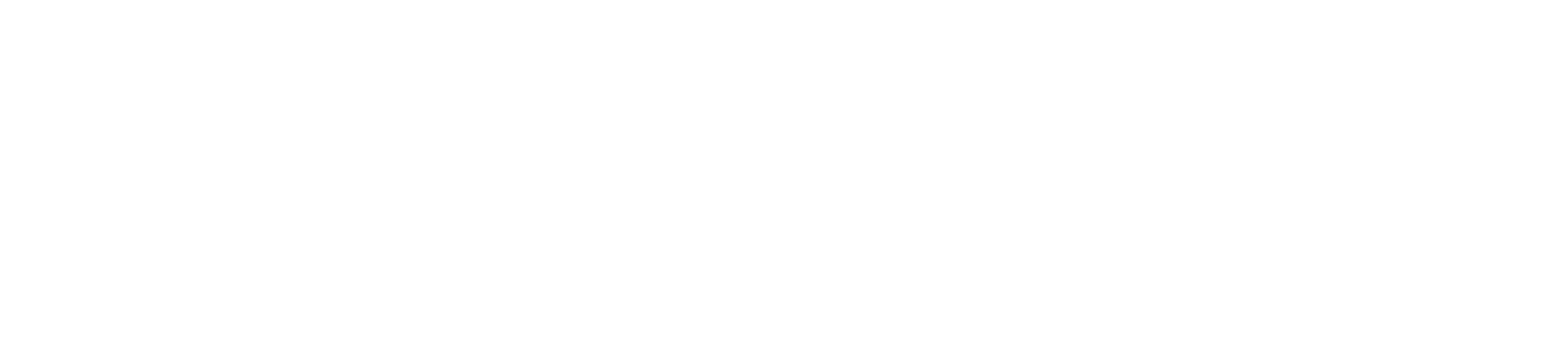 ALVEIRO.COM LLC